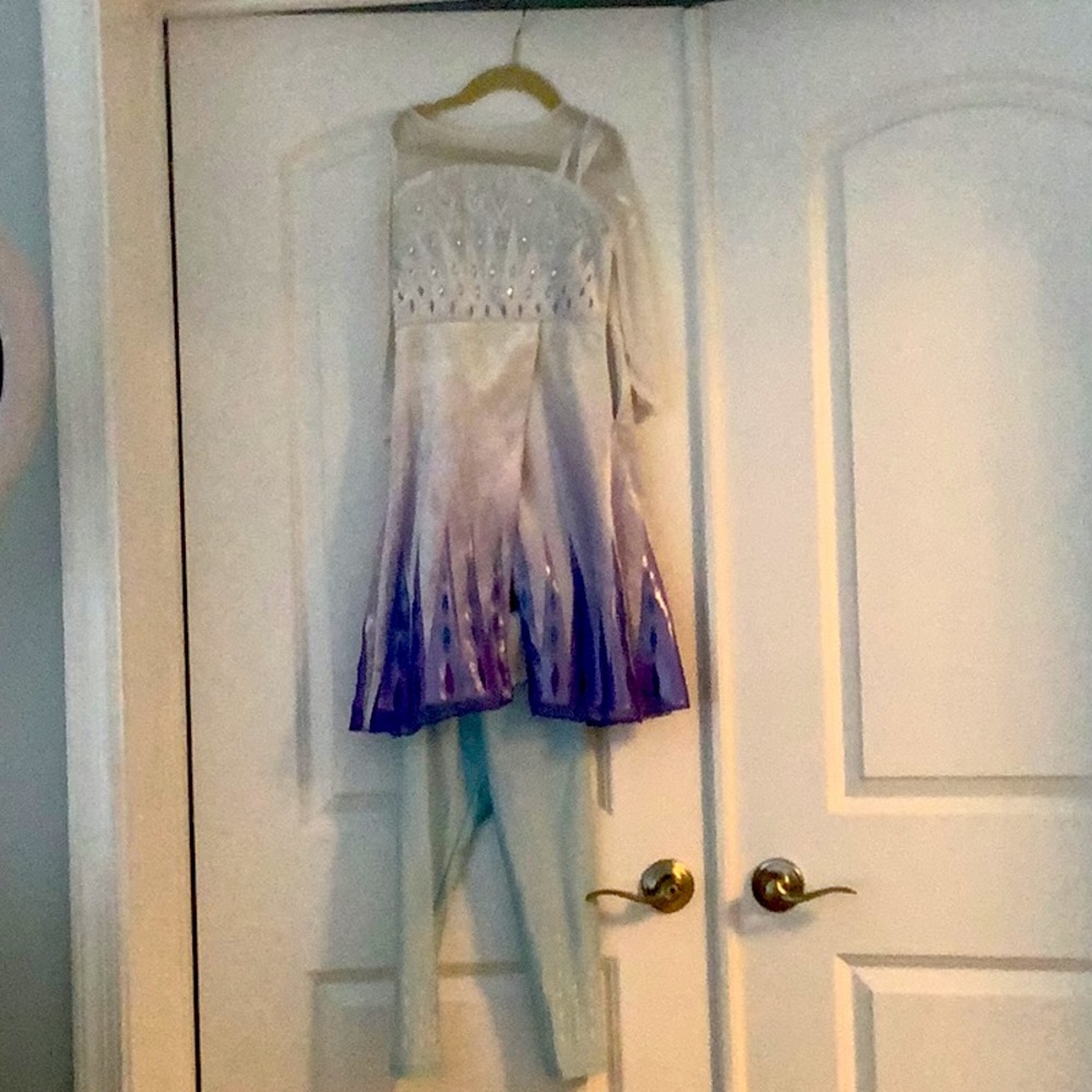 Frozen II Elsa costume